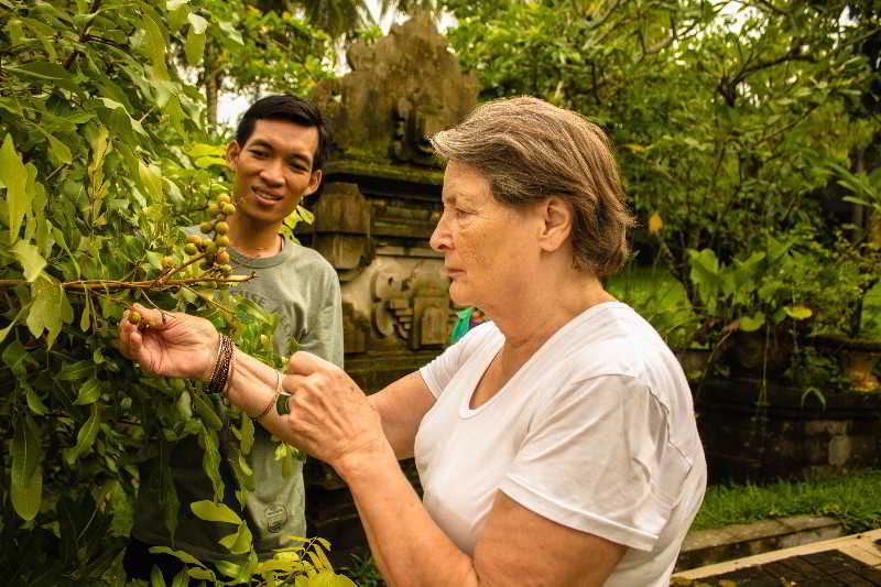 Bhuwana And Farming Ubud (Bali)