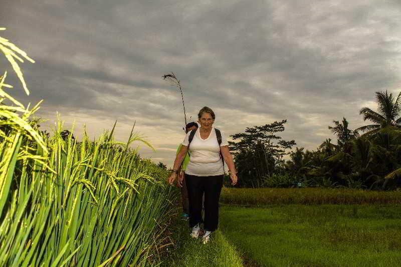 Bhuwana And Farming